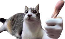NICE emote