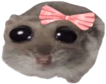 hamstiCute emote