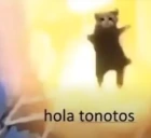 tonotos emote