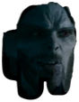 Amorbus emote