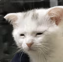 CE_AwakeButAtWhatCost emote