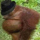 Gangsta_Monkey emote