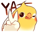 birbya emote