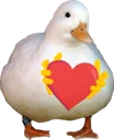islove emote