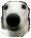 Leon