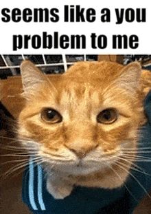 youproblem emote