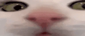 plunk emoji