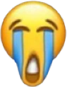 ScreamCry emote