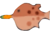 carrotfish emote