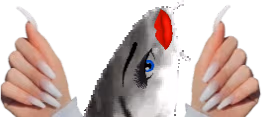 JoelYass emote