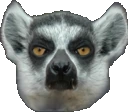 Lemur emote