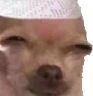 Doge_Sus emote