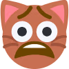 live_cat_reaction emote