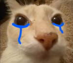 dosesad emote