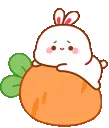 bunny_carrot emote