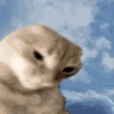 NOLEAN emote