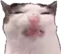 eww emote