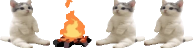 catsittingverycomfortablearoundacampfirewithitsfriends emoji
