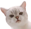 Nana_Wtf emote