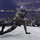 Spinaroonie emote