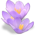 flower_lilac emote