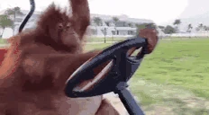 OrangutanDrive emoji