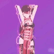 beidou_phuthon emote