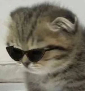 CoolKitten emote