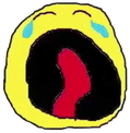 Cry static emote