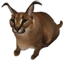 bathfloppa emote