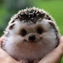 edgeoG static emote