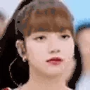 lisaNOPERS emote