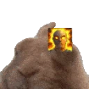 piVibes emote