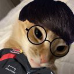 71facuh avatar