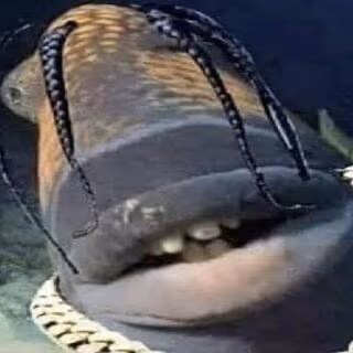 trafish_scott emote