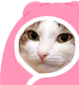 kiisu_cozy emote