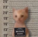 Felon static emote