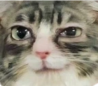 Smirk emote