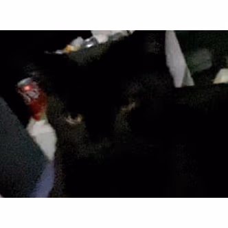 igangpt2 emote