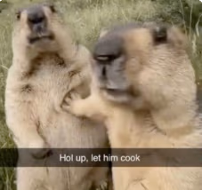 let_him_cook emote
