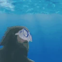 forsenSwim emote