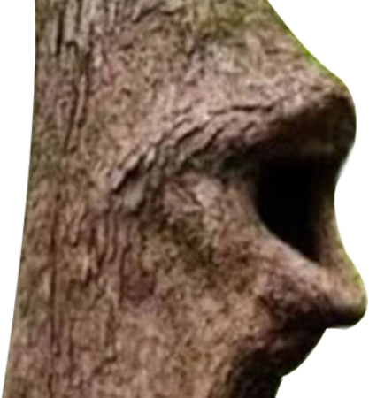 loggers_poggers_FR emote