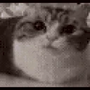 explode emote