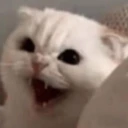 CE_Anger4 emote