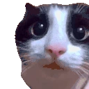 umm emote