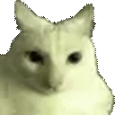 CatBlimp emote