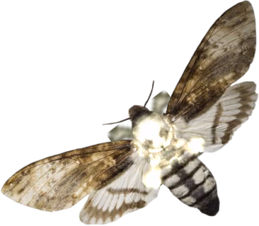 goth_mothh emote