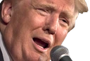 TrumpSpeech emoji