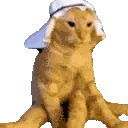 ABDUL emote