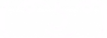 Lenny emote